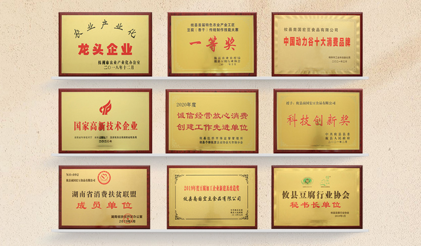 荣誉载誉前行 <br>品牌实力广受认可