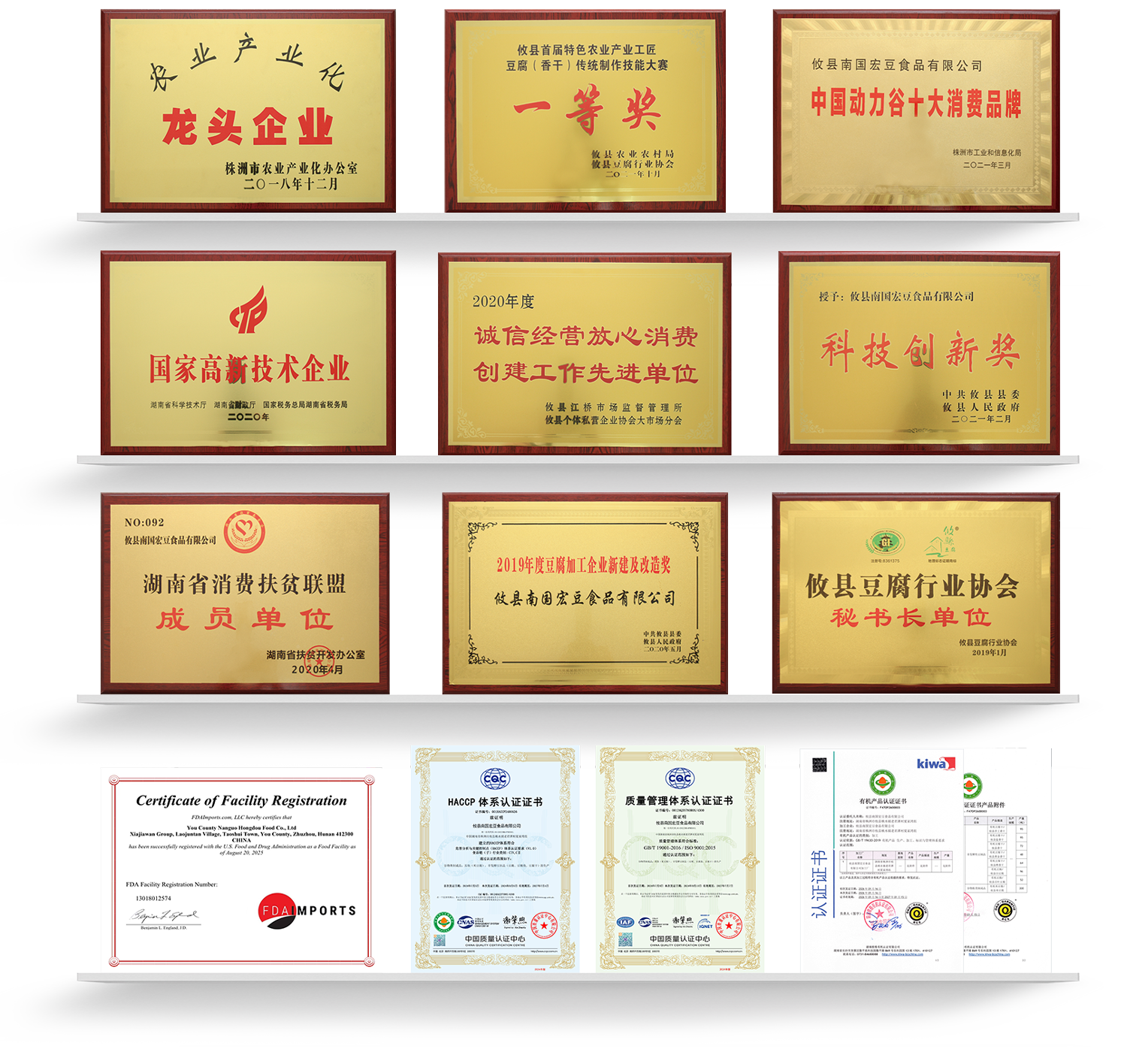 企业荣誉奖牌第一行