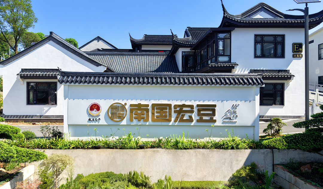 攸县香干 就选南国宏豆